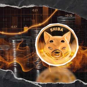 SHIB Skyrockets 1,309% With Millions of SHIB Mysteriously Moved