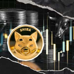 Mysterious Coinbase Whale Turns Shiba Inu Bull with 191,857,258,199 SHIB