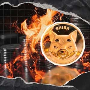 SHIB Meme Coin On Fire with + 3,172% Growth: Details