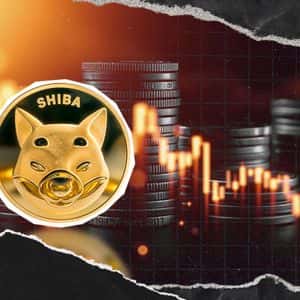 SHIB Price Crashes But Team Doesn't Give Up, Major Statement Says