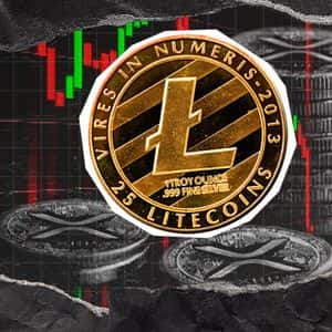 Viral XRP Hate Comment from Litecoin Gets Follow-Up