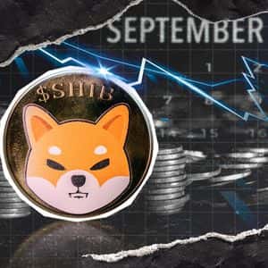 Shiba Inu (SHIB) Adding Zero Here or Pivot Right Now