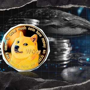Dogecoin (DOGE) Whales Disappear