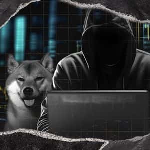 No Word on X From Shytoshi Kusama for Month But SHIB Army Unfazed