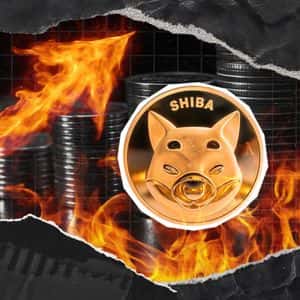 Shiba Inu Breaks Burn Rate Limit With 201,207% Surge, Will Price Follow?