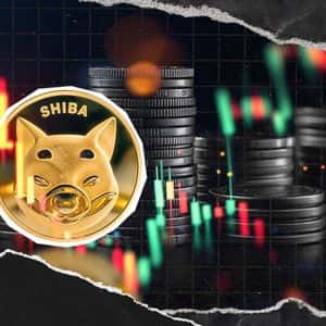 +93% SHIB Imbalance Strikes As 22,652,982 SHIB Get Locked