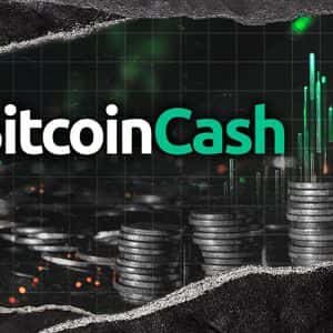 Bitcoin Cash Shines Amid Altcoin Bloodbath, Volume Jumps 32%