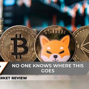 Shiba Inu (SHIB) Biggest 2025 Breakout is Around, Bitcoin (BTC) Recovery Failed, Ethereum (ETH): Worst Since Hitting $4,000?