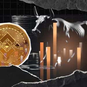 Is Binance Coin (BNB) Price Performing a Bullish Fakeout?