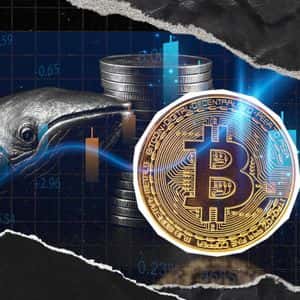 Bitcoin Whale From Satoshi Era Breaks Silence with 640,000% Profit After 13 Years