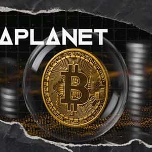 Bitcoin Treasury Firm Metaplanet Looking Like 'Classic Bubble'