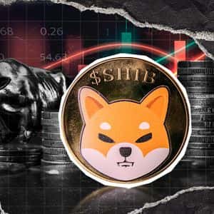 Shiba Inu (SHIB) Crashes: -70% in This Bearish Metric