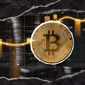 Bitcoin Breaks 15 Year Record as $625 Billion Flows in Since 2024: Details