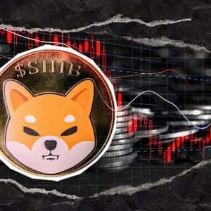 SHIB Price Crash: Crucial Support Now Tested