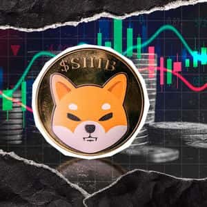 7,177,310,586,703 Shiba Inu (SHIB) in 24 Hours: Top-2 Fakeout or Comeback?