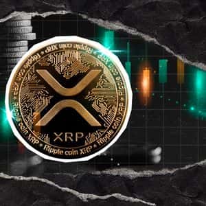 XRP Buy Signal Says Massive Bounce is Coming