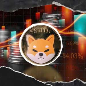 -87% on Key SHIB Metric – What’s Happening?