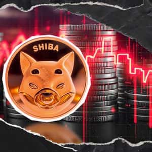 Shiba Inu (SHIB) Loses 21% in 24 Hours: Mysterious Volume Drop