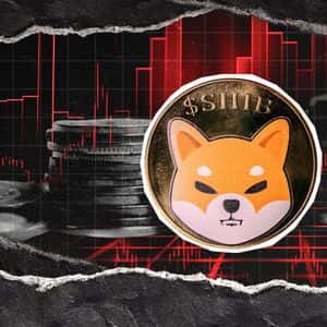 Shiba Inu (SHIB) Risks Losing More Than Ever