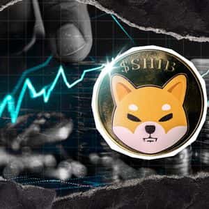 -200,607,300,000 Shiba Inu in 24 Hours: Who is Buying SHIB?