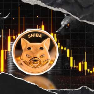 Will Shiba Inu (SHIB) Crash? 2 Bullish and 1 Bearish Scenario