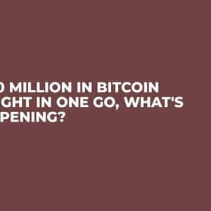 $840 Million in Bitcoin Bought in One Go, What's Happening?