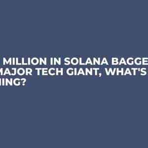 $167 Million in Solana Bagged By Major Tech Giant, What's Coming?