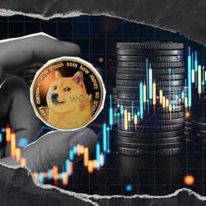 What’s Next for DOGE? Director Issues Plans for Enhanced Dogecoin Utility