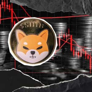 -243,735,301,882  Shiba Inu (SHIB) in 24 Hours is Critically Important: Details