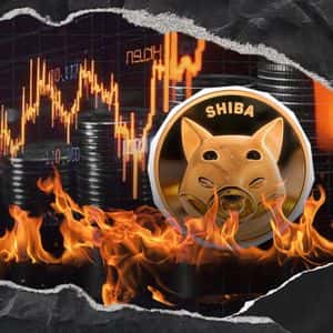 Shiba Inu Burn Rate Rockets as 7,069,830 SHIB Gets Slashed From Supply