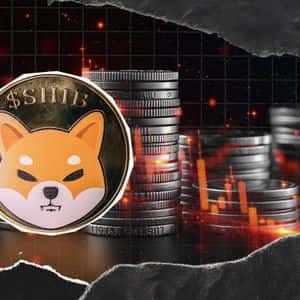 Shiba Inu (SHIB): Is It Ending?