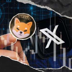 Shiba Inu Developer Breaks Silence on X With Decentralization Perspective