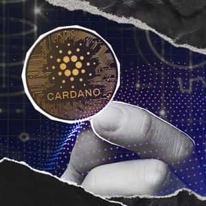Cardano (ADA) Developers Invited To Share Feedback on Ecosystem