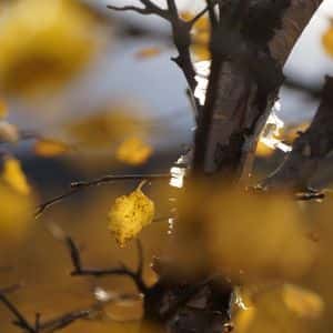 October Outlook: Bitcoin’s Seasonality, Macro Trends, Gold Correlation, and ETF Bonanza