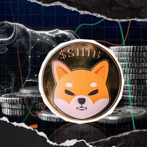 Shiba Inu (SHIB): Massive Fight For Bullrun Chance Begins Now