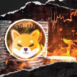 71,297,136 SHIB Tokens Erased as Shiba Inu Burn Rate Rises 449.66%