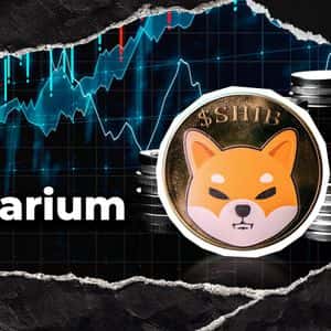 Shibarium Scores New Low in Key Metric, SHIB Price Reacts