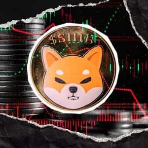 Is Shiba Inu at Risk of More Selloff? Key Metrics In Freefall