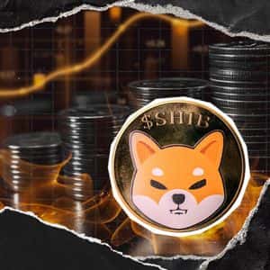 Shiba Inu Burn Rate Rockets 11822.57% With 9,782,588 SHIB Destroyed