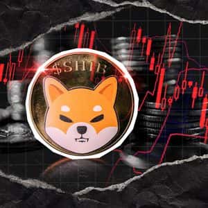 Shiba Inu Crashes Hard to New 2025 Low, Will SHIB Add Extra Zero?