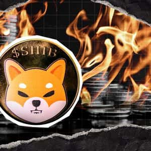 Shiba Inu Burn Rate Crashes 99% as Crypto Sees Largest Liquidation Event Ever