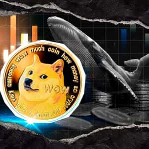 Enormous Dogecoin (DOGE) Short: This Whale Knows Something?