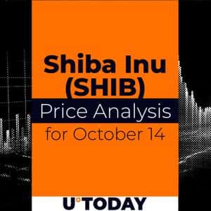 SHIB Price Analysis for October 14