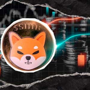 Can Shiba Inu (SHIB) Delete Zero From Price?