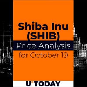 SHIB Price Analysis for October 19