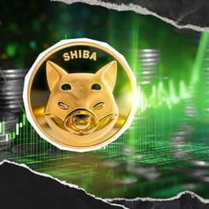 Shiba Inu's (SHIB) 988% in Only 24 Hours: This is Crucial