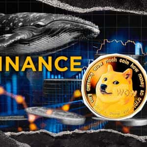 Mysterious Dogecoin Whale Reactivates with 15 Million DOGE Withdrawal From Binance