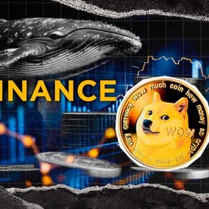 Mysterious Dogecoin Whale Reactivates with 15 Million DOGE Withdrawal From Binance
