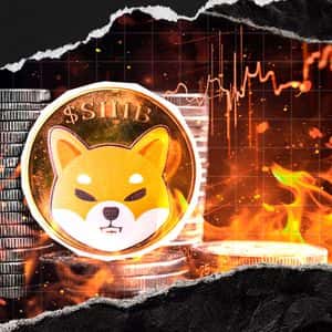 Shiba Inu Stuns With Crazy 28,554% Burn Rate Surge