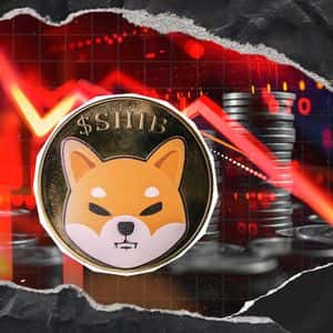 -19,685,880,237 Shiba Inu (SHIB) in 24 Hours: Netflows Turn Downfalls